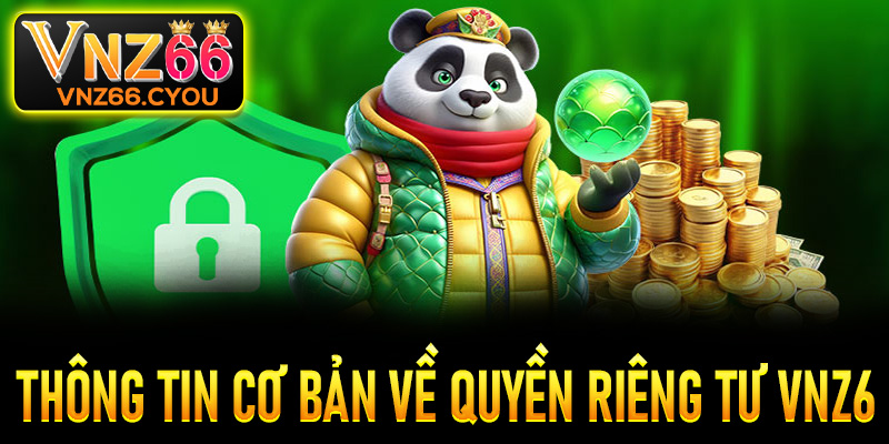 Sơ lược một vài thông tin cơ bản về quyền riêng tư tại VNZ6