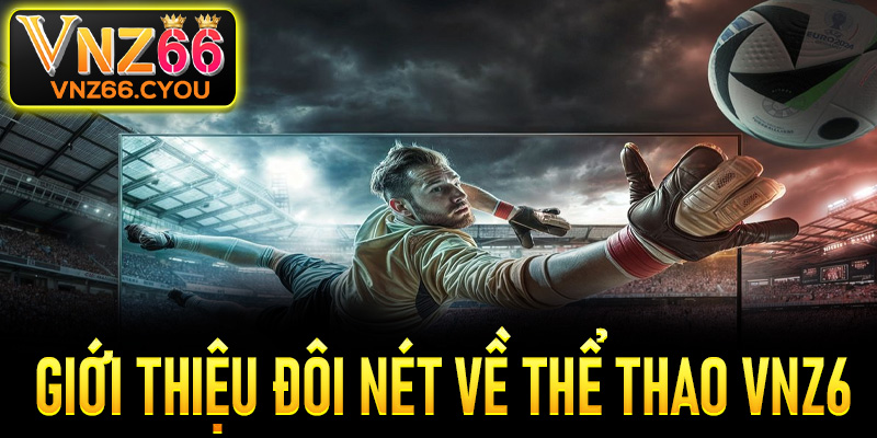 Giới thiệu đôi nét về sảnh thể thao VNZ6