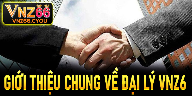 Giới thiệu chung về chương trình đại lý của VNZ6