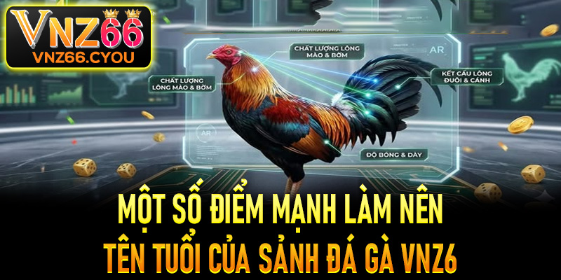 Một số điểm mạnh làm nên tên tuổi của sảnh đá gà VNZ6
