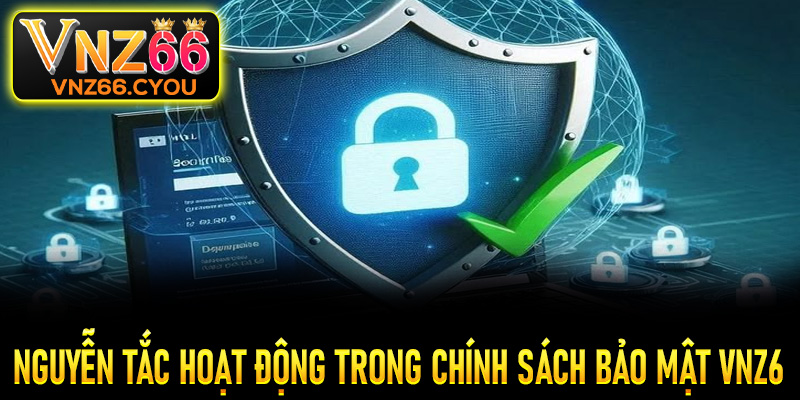 Nguyên tắc hoạt động của nhà cái VNZ6 và quyền lợi người chơi