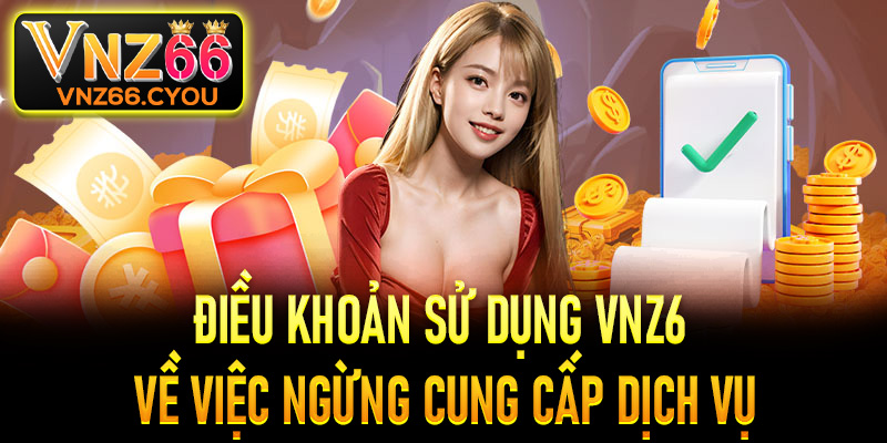 Điều khoản sử dụng VNZ6 về việc ngừng cung cấp dịch vụ