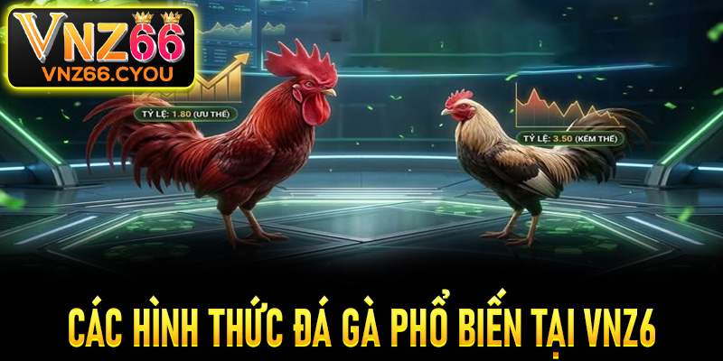 Các hình thức đá gà phổ biến tại VNZ6