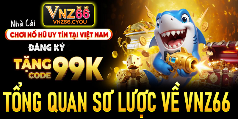 Tổng quan sơ lược về VNZ66